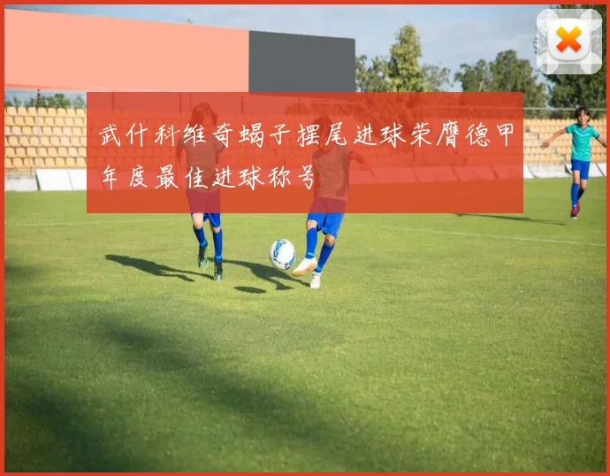武什科维奇蝎子摆尾进球荣膺德甲年度最佳进球称号