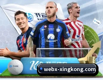 平台简介 - 体育资讯内容服务 - StarryskySpor